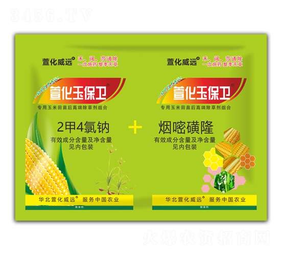 2��4���c+���׻�¡-�滯���l(w��i)-�滯���h(yu��n)