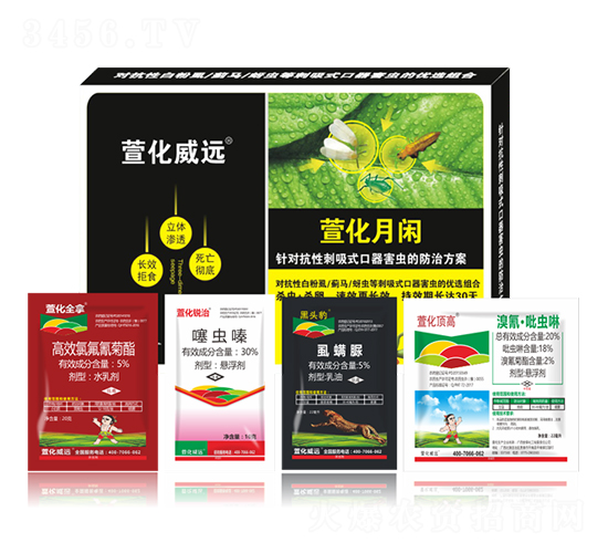 �滯���e-�滯���h