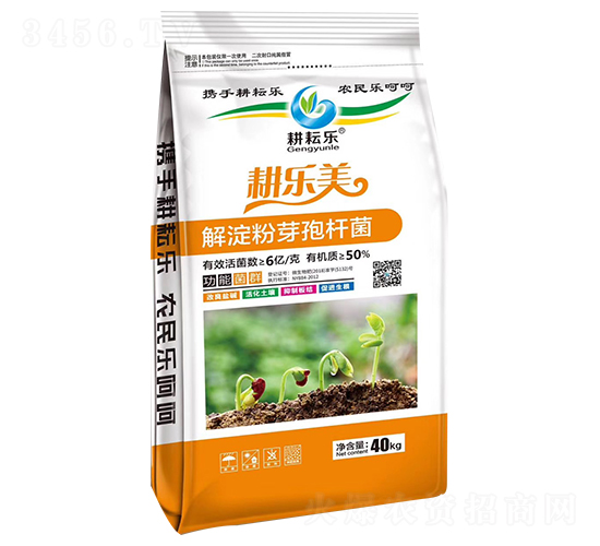 �����ѿ�ߗU��-������-���Ř�