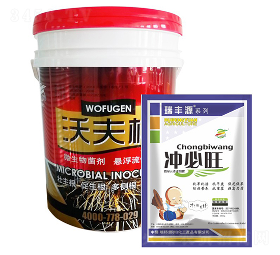 �_����+�ַ��-����