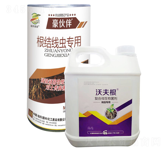 �����+�ַ��-����