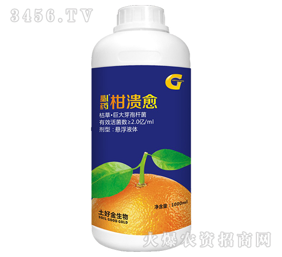 �ݲݡ��޴�ѿ�ߗU��-��ˎ�̝���-���ý�