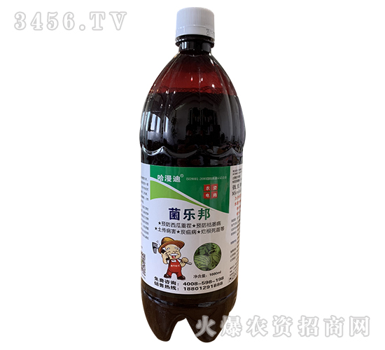 ����(l��)��-�ο�ֲ��-������