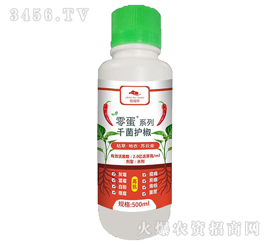 �ݲݡ����¡��K�ƽ�-ǧ���o(h��)��-������-�f�ڿ�