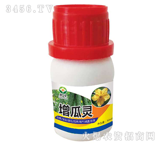 �����`-��������