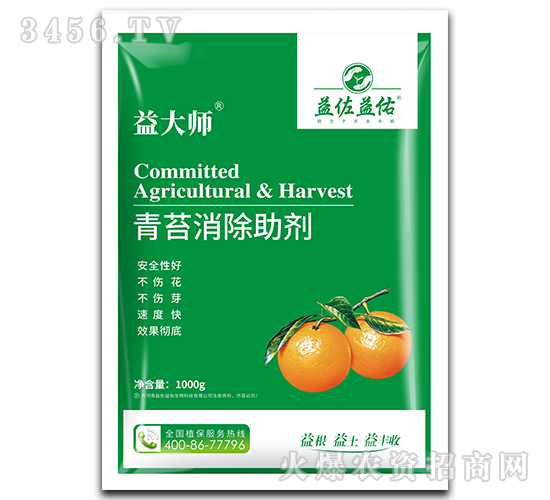 ��̦��������-���-��������