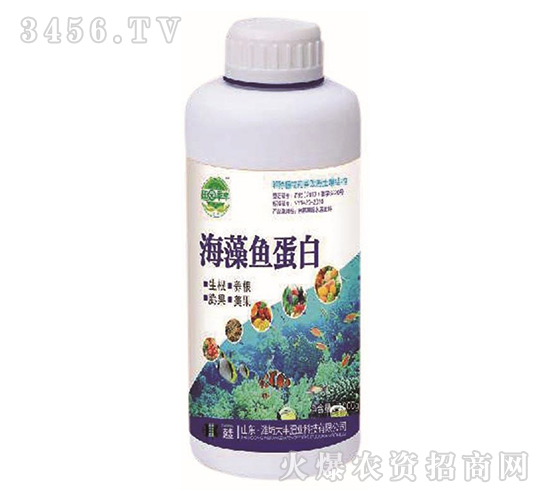 �����~(y��)����-��@���S-���S�ʘI(y��)