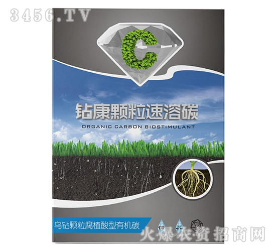 �@���w������̼-����