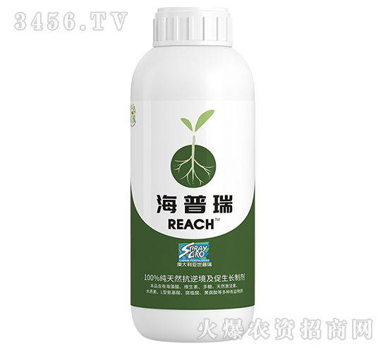 ������-����