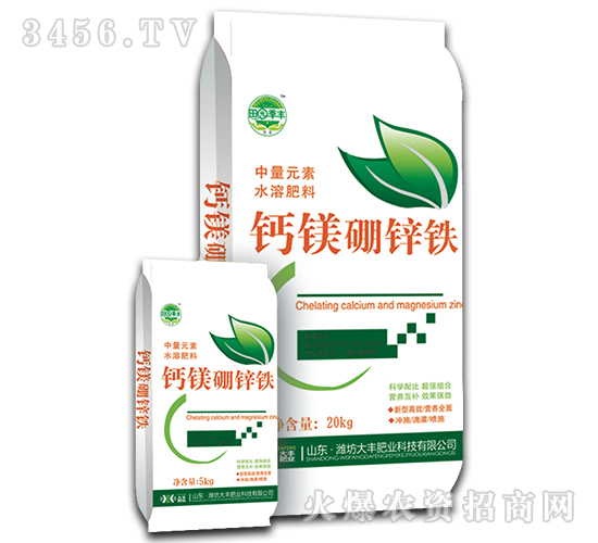 �}�V���\�F-�@���S-���S�ʘI(y��)