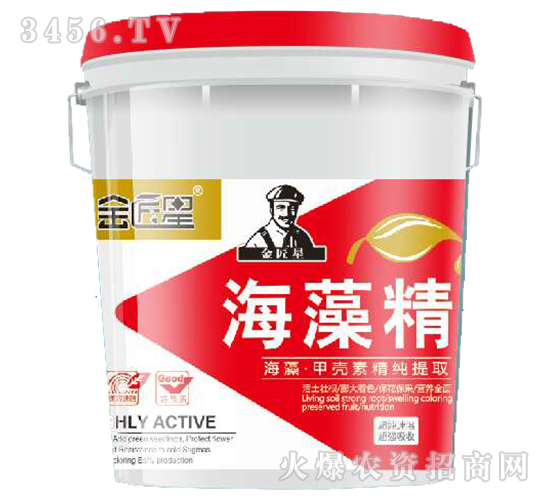 ���徫-����