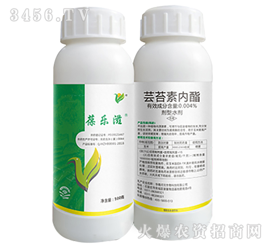 �|̦�؃�(n��i)��-�ᘷ(l��)�̣�ƿ��-��ֲ���A