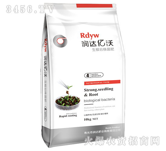 �����������-���_(d��)�|��4̖-���_(d��)�ʘI(y��)