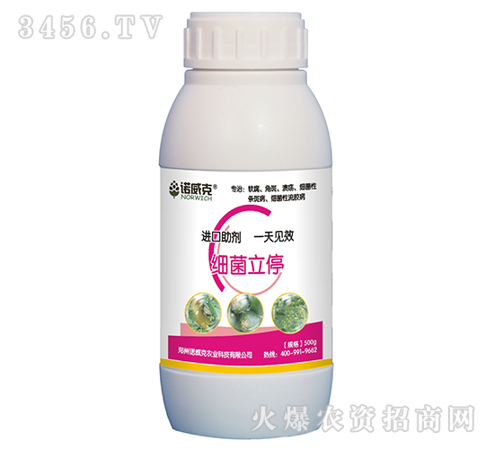 ������ͣ-�Z����