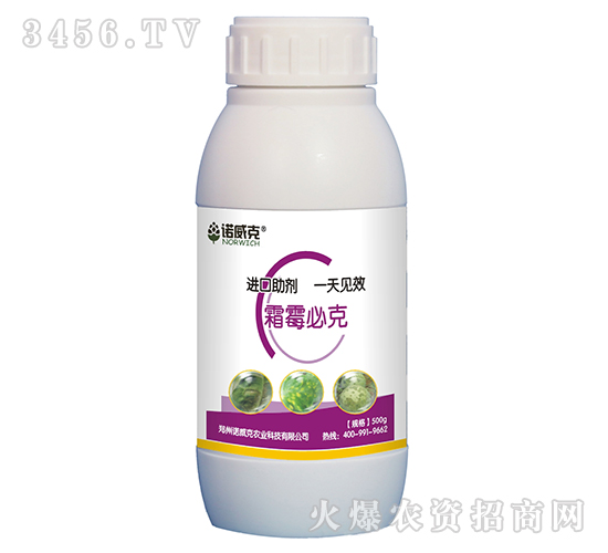 ˪ù�ؿ�-�Z����