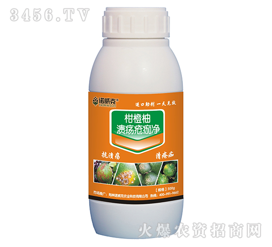 �̳���-���������-�Z����