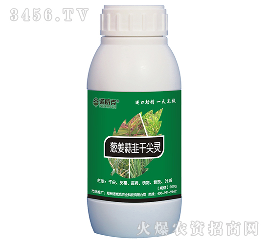 �[�����ǧ���`-�Z����