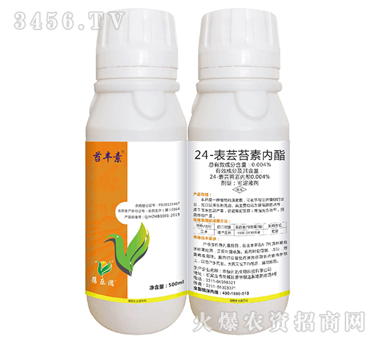 24���|̦�؃�(n��i)����500ml��-̦�S��-��ֲ���A