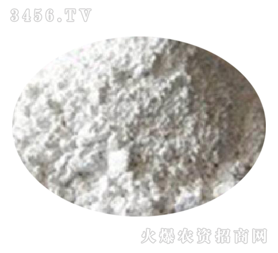 ���������|(zh��)ĵϠ��-��������