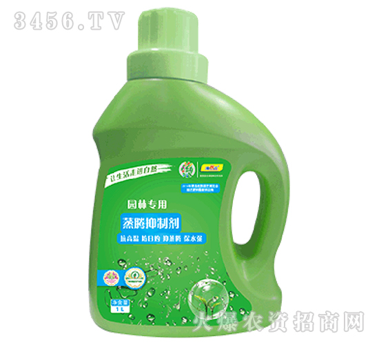 ���v���Ƅ�-��������