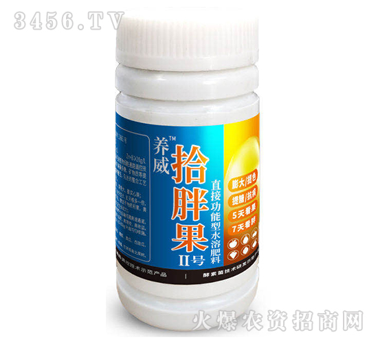 ʰ�ֹ�II̖-�B(y��ng)��-����Ȼ