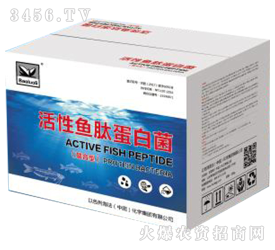 ���ϻ����~�ĵ��׾�-�������H