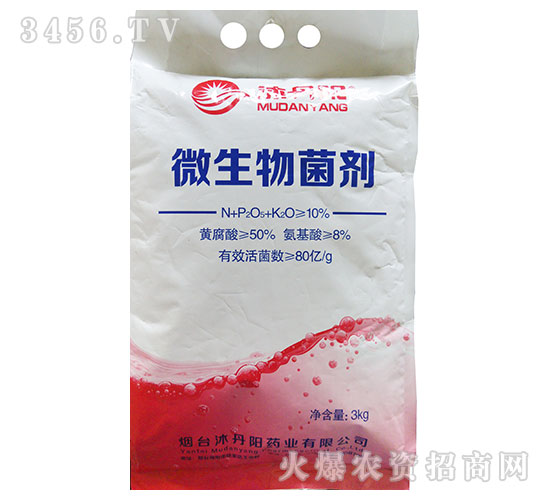 ΢�������-�嵤�