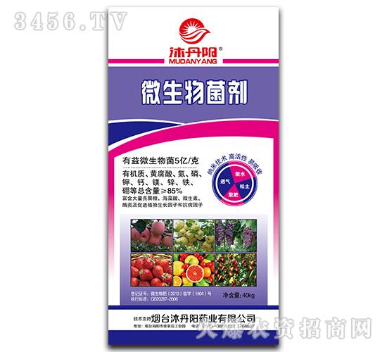 40kg΢�������-�嵤�