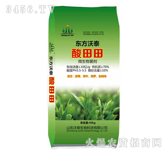 ΢�������-������-��̩����