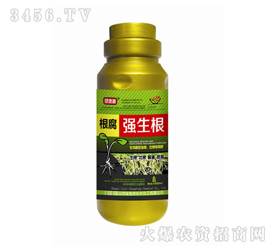 ������(qi��ng)����-�G�ٲ�-�L�S