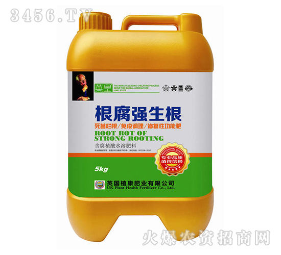 ������(qi��ng)����-Ӣ��-�L(zh��ng)�S