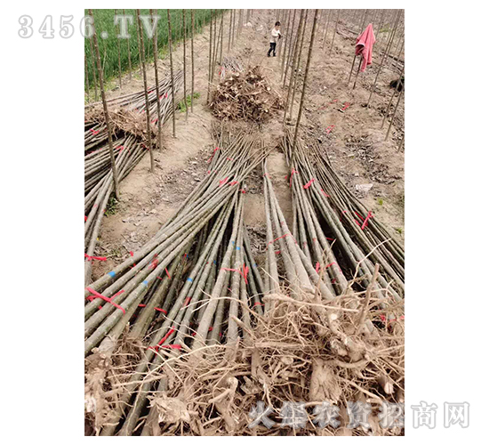 2020��鱘�ӆ�λ����Ŀ17