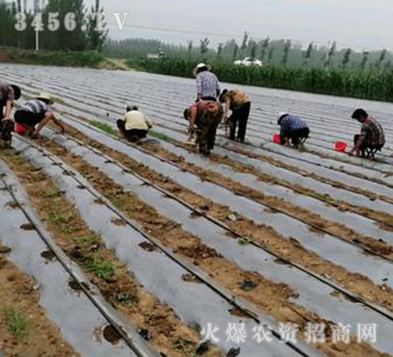 2020��鱘�(sh��)ӆ�λ����(xi��ng)Ŀ11