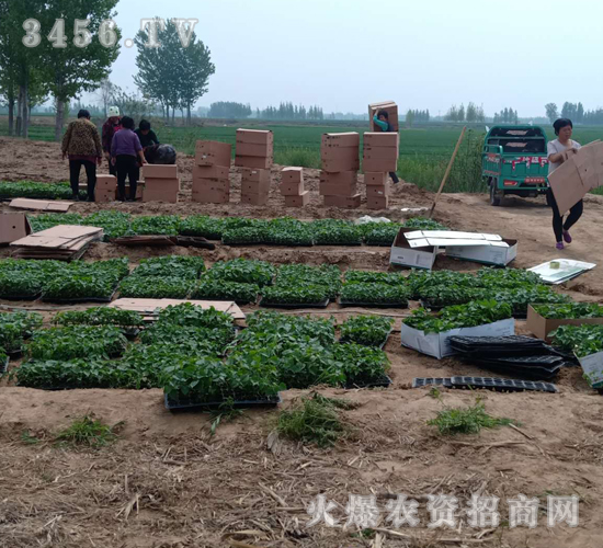 2020��鱘�ӆ�λ����Ŀ10