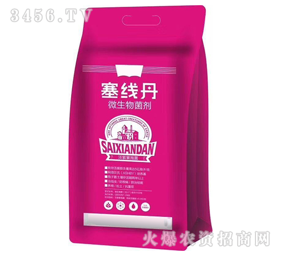 ΢�������-������-ʢ�ļ�