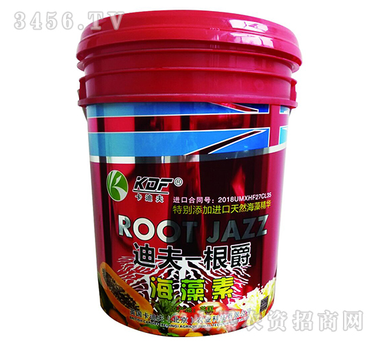 ������-�Ϸ�һ����-���Ϸ�