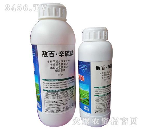 50%���١�����������-�W�ρ�