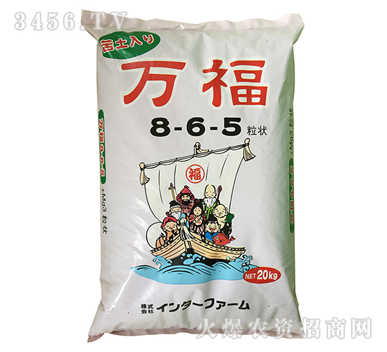 ���ڷ���8-6-5-�˸���