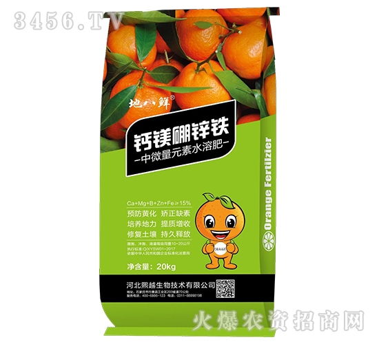 �}�V���\�F-�ذ��r-��Խ����