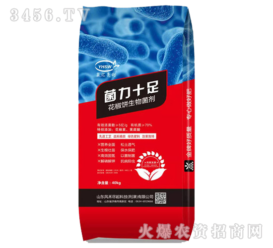 ������������-����ʮ��-���R