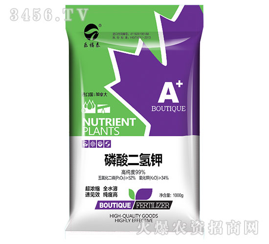 �߼���������-����̩