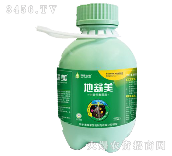 ������-�ں�����