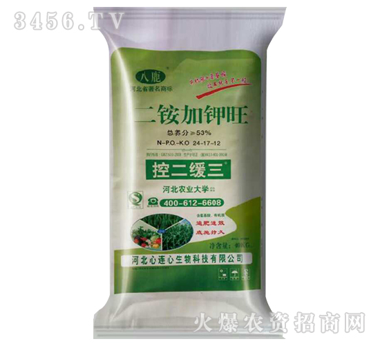 ���@�����-�ض�����24-17-12-���B��