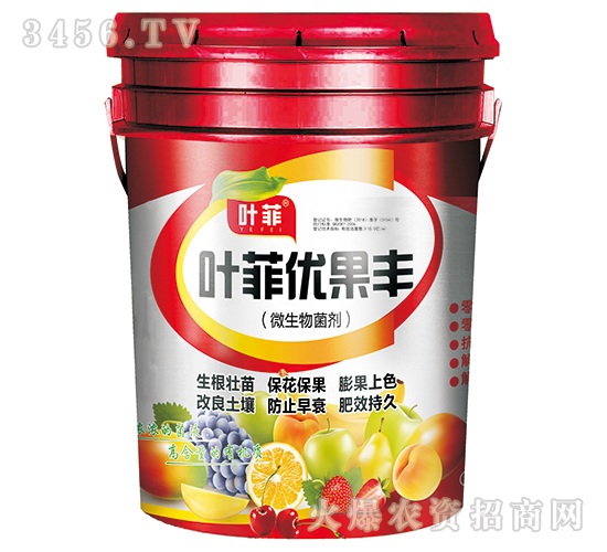 ΢�������-�~�ƃ�(y��u)���S-�~��