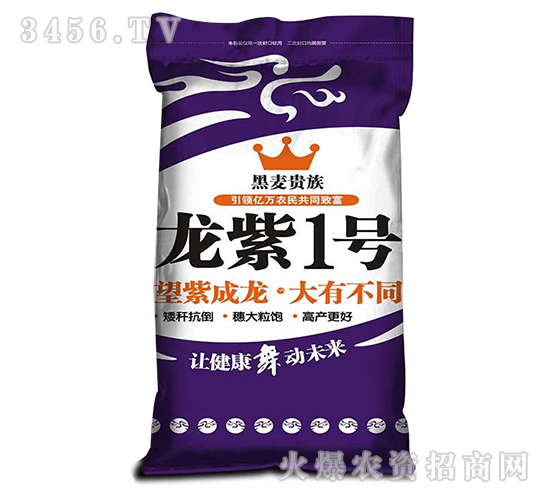 ����1̖(h��o)-�����F��-����N�I(y��)