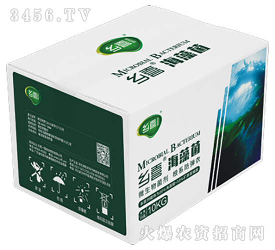 �����-�l(xi��ng)ϲ-һ��