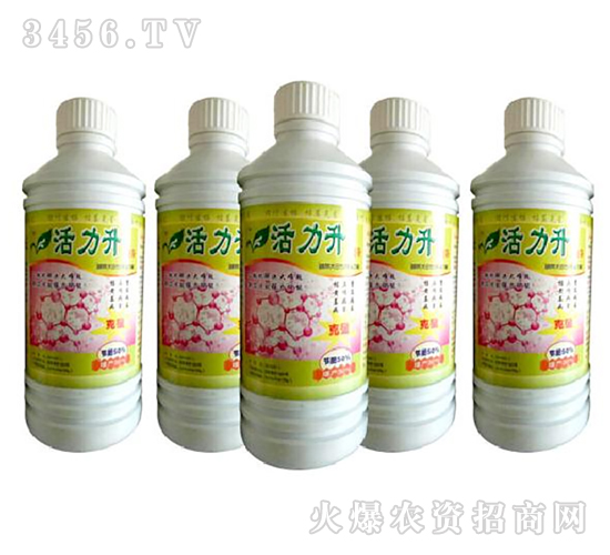 ������-�r(n��ng)�S���B(t��i)