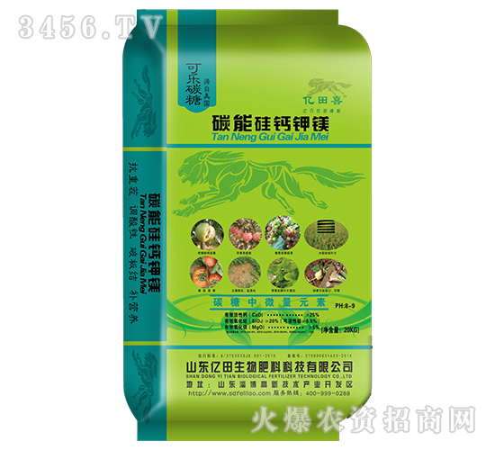 ̼�ܹ��}��V-�|��ϲ-�|������