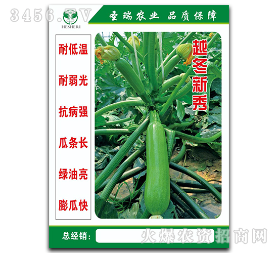 Խ�����㣨һ��-�����J�N��-��ʥ��