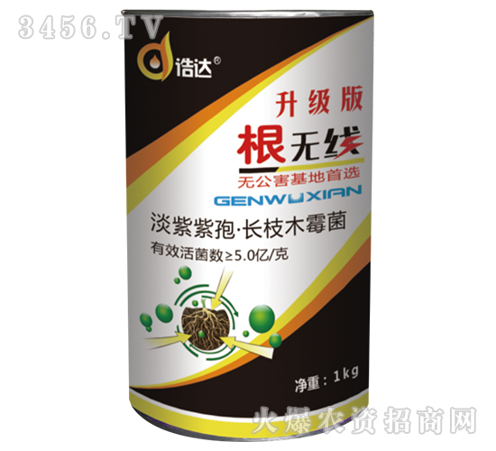 ΢�������-���o��-���_(d��)